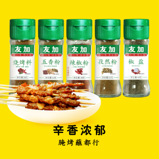 友加烧烤料套装孜然五香粉辣椒粉椒盐撒料蘸料腌料淄博烧烤露营