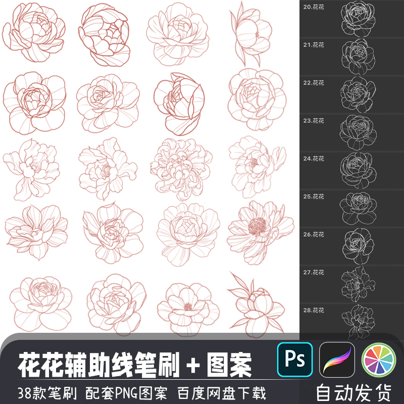 花朵植物花卉造型辅助线稿PS/SAI2笔刷procreate画笔PNG图案素材