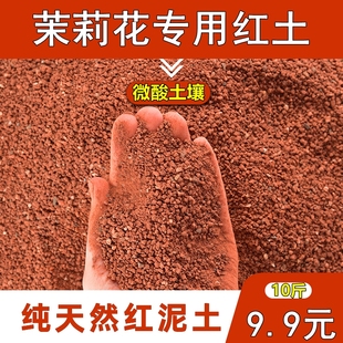 茉莉花土专用土红土微酸弱酸性基地直供铁元素丰富红泥土盆栽盆景