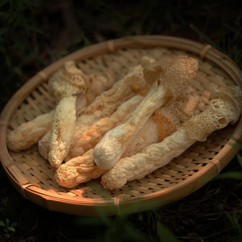 竹荪干货50g贵州织金非特级非野生非500g包邮竹笙干货无硫干竹荪