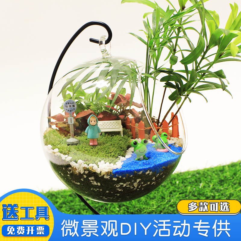 创意苔藓微景观玻璃瓶龙猫生态植物盆栽DIY活动材料包套餐礼物