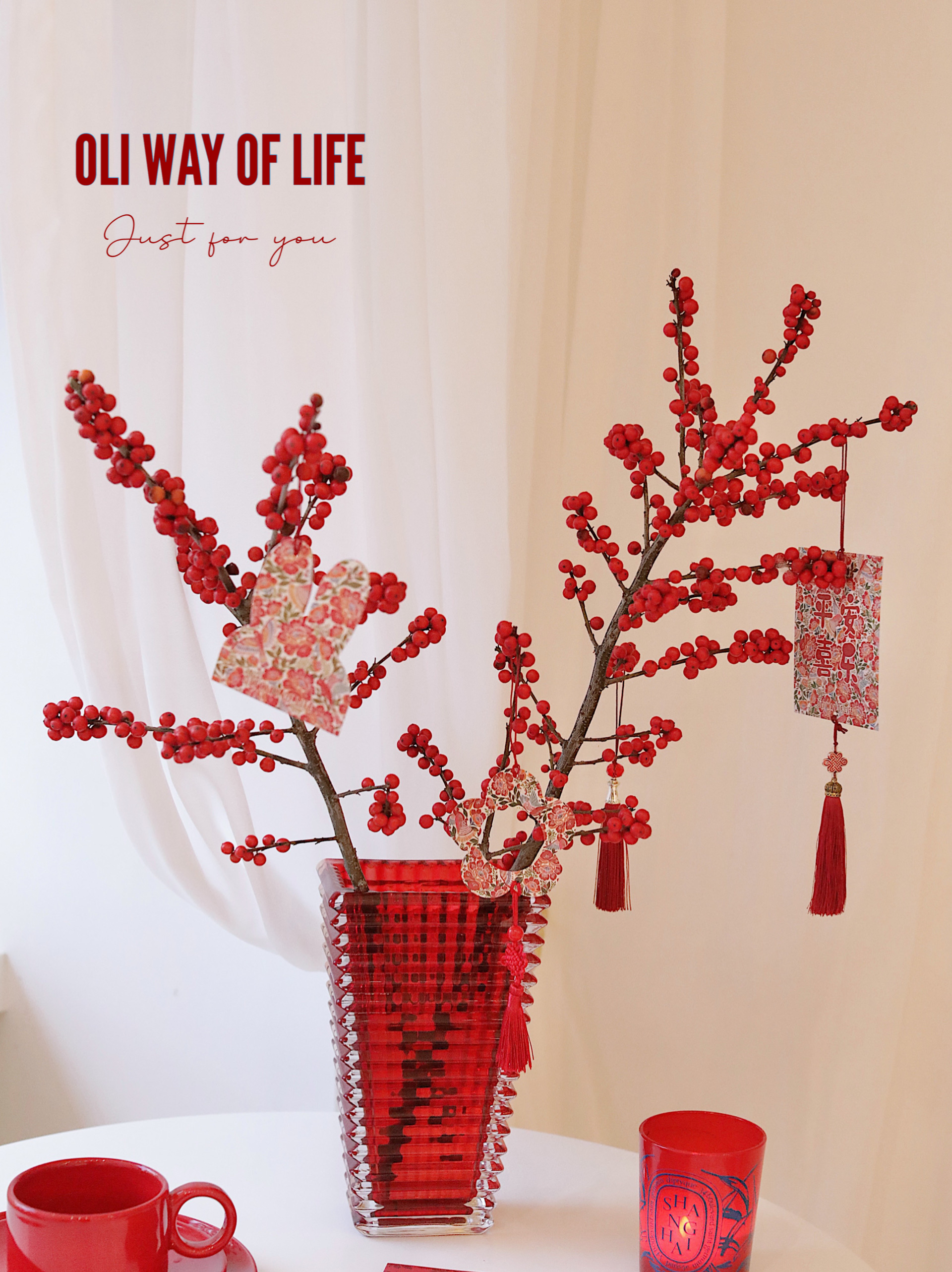 OLI WAY OF LIFE 创意家居 新年花瓶 浮雕玻璃插花花瓶