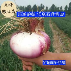 【老师粮心店】 有机种植无公害当天采摘蔬菜 紫色洋葱