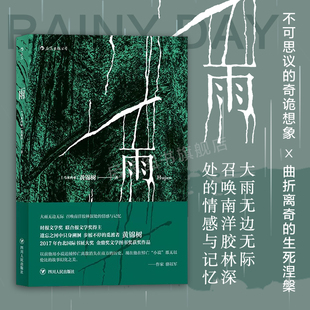 后浪正版现货 雨 黄锦树 郁达夫奖马来西亚华语金鼎奖图书奖获奖作品 短篇小说作品集文学畅销书籍