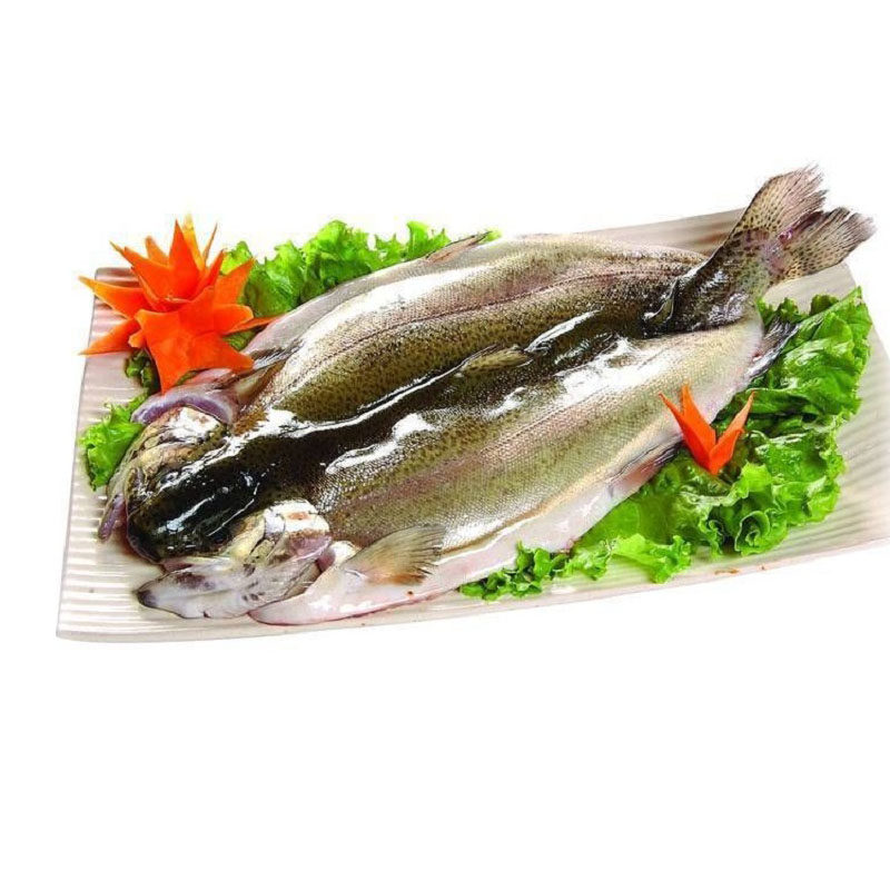 孕妇滋补食材冷淡水三文鱼新鲜水产冷冻虹鳟鱼半野生活体现杀包邮