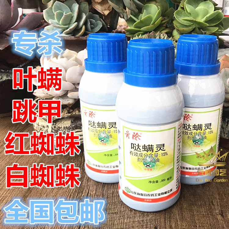 哒螨灵月季玫瑰兰花植物花卉药剂红蜘蛛白蜘蛛杀虫剂叶螨杀螨剂