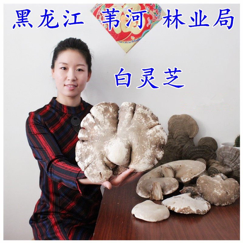 长白山野生白灵芝250g整枝干货切片券后30元包邮直达