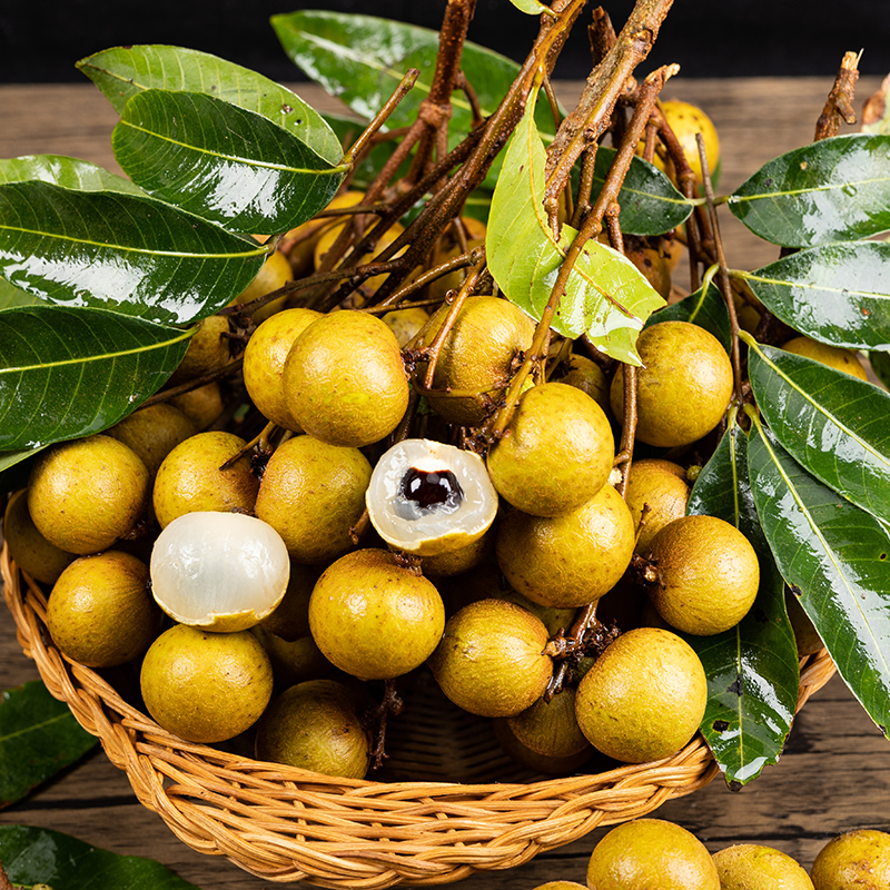 乐鲜果园海南新鲜带枝龙眼5斤装精选新鲜多汁鲜龙眼当季时令水果