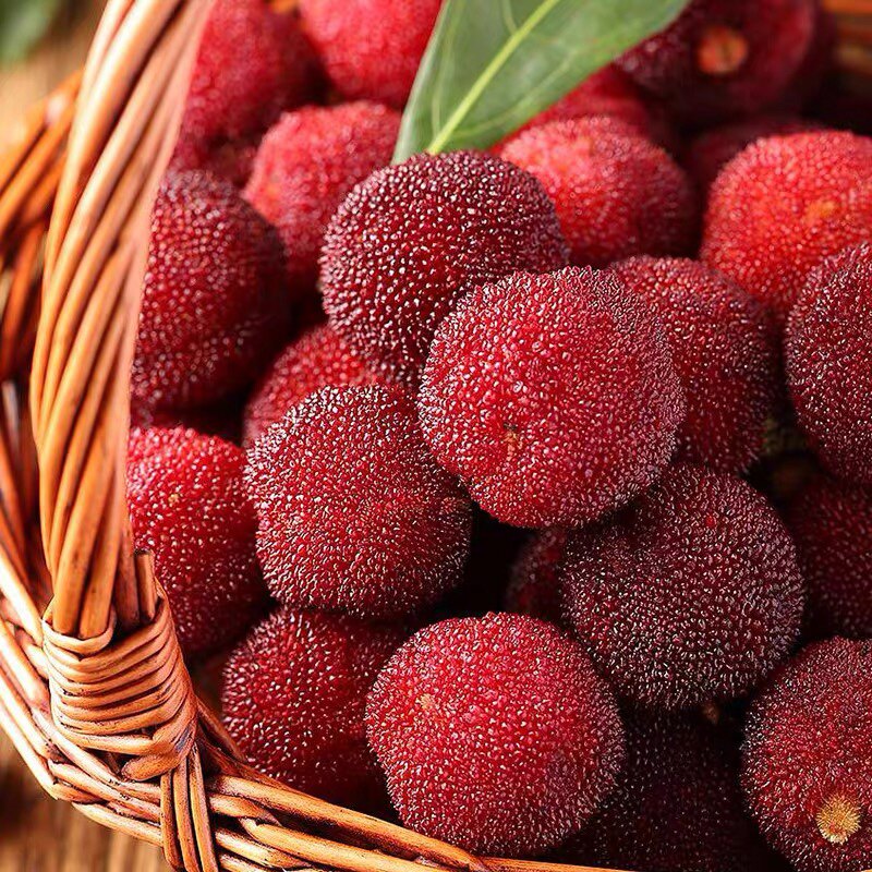 仙居杨梅新鲜东魁杨梅现摘新鲜孕妇水果