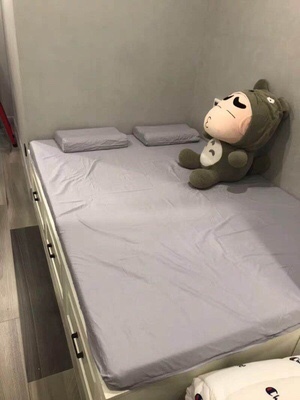 调查心得用过的分享下东宝床垫怎么样，质量好不好？是名牌吗？