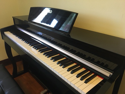 大家知道珠江艾茉森数码电钢琴v03怎么样适合新手吗