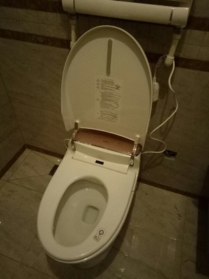 真实使用感受美标马桶质量怎么样，这个牌子是几线品牌的？好用吗？