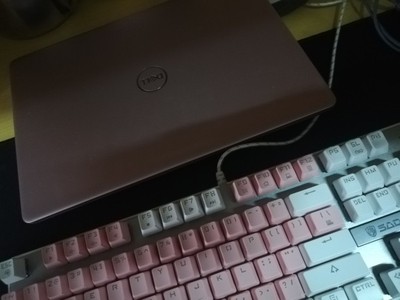 Re:ʵ˵˵Dell/Խ5390ʼǱôأôԽ5390ú ..