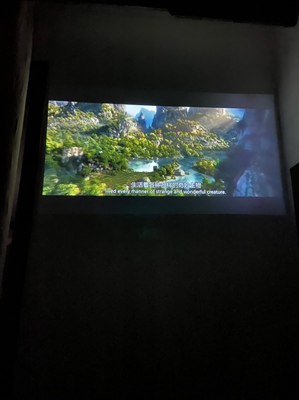 大神评测坚果G7S和坚果G7Pro哪个好？什么档次？