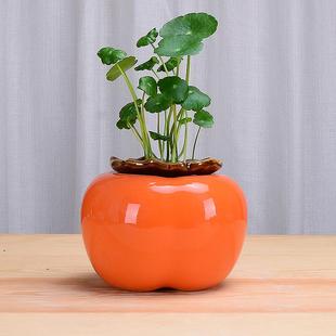 创意柿子花瓶水养绿萝水培花盆陶瓷柿柿如意北欧客厅桌面装饰摆件