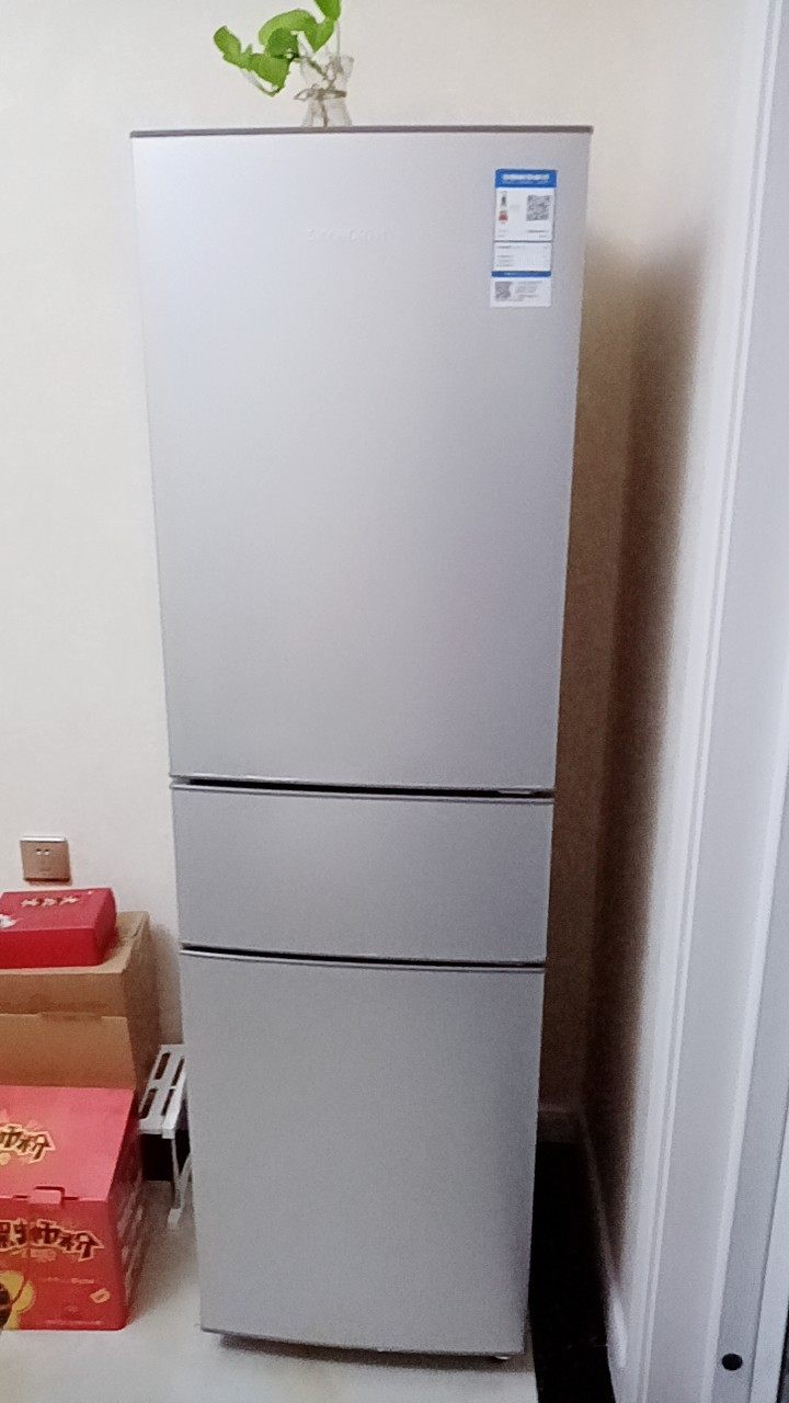 skyworth创维冰箱bcd195t值得买吗创维bcd195t实用看买家评价