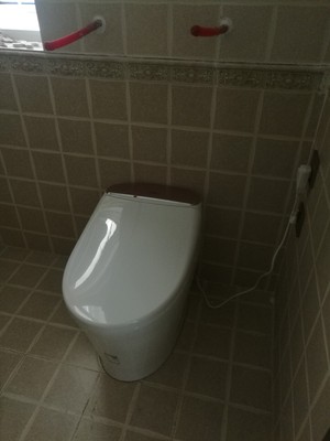 目前看来装修师傅推荐的雅简沐超漩虹吸式马桶怎么样，方便好用？