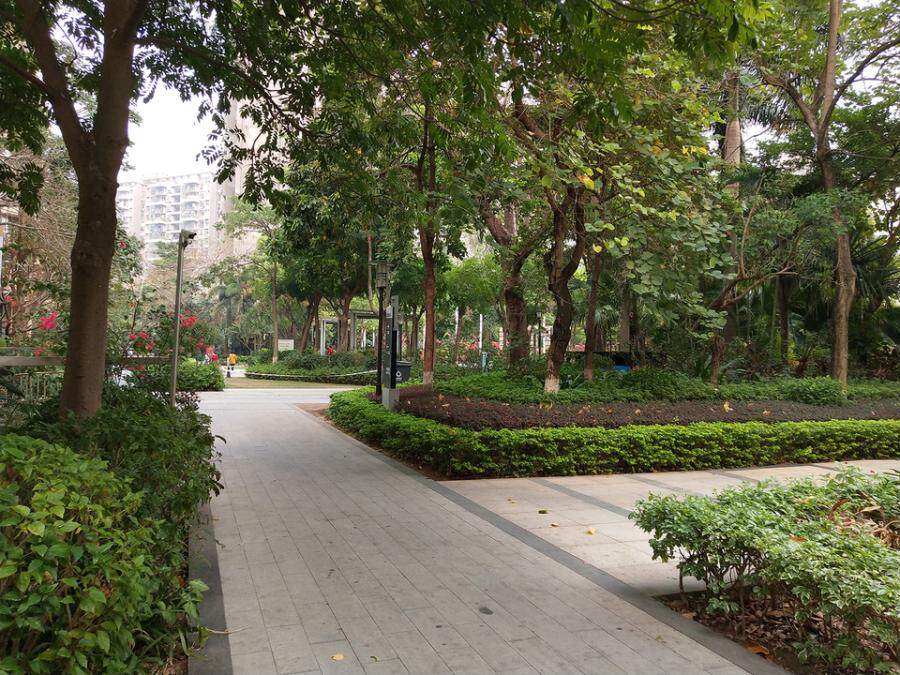 深圳市宝安区西乡街道西乡大道碧海富通城12栋2405号房