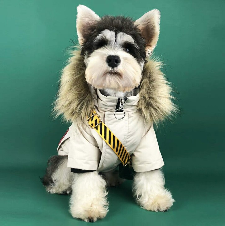 狗狗衣服冬装派克服羽绒服泰迪雪纳瑞博美法斗中小型犬宠物外套