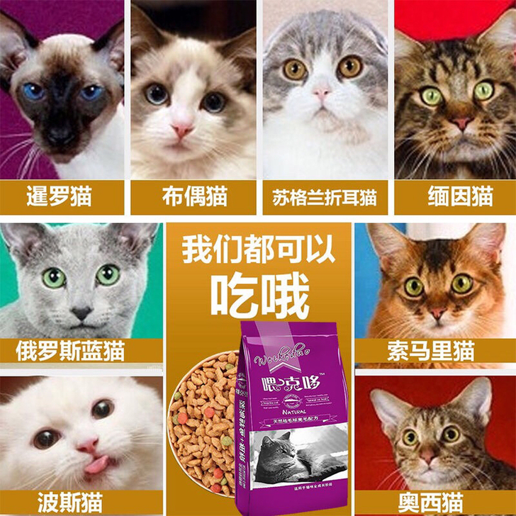 猫粮全阶段海洋三文鱼味幼猫食5大包成猫流浪猫咪主粮老年宠物