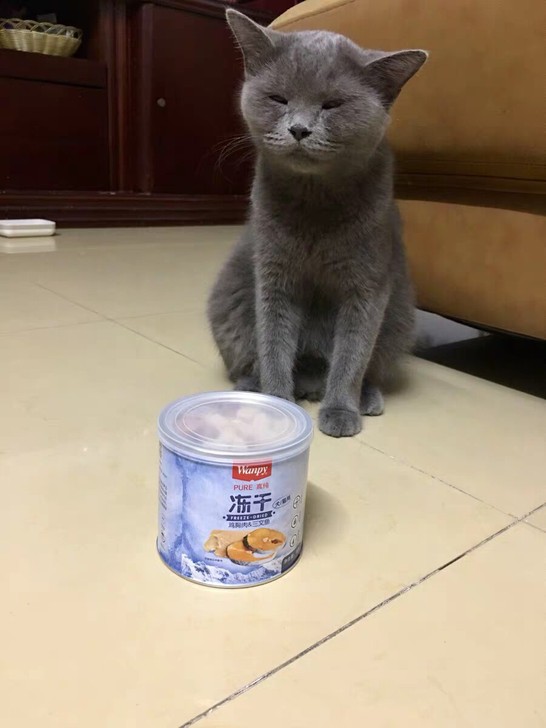 猫狗冻干猫零食顽皮鸡肉宠物发腮猫粮小鱼干成幼猫营养增肥猫咪零