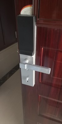 解说【销量第一】德施曼小嘀智能指纹锁怎么样，好不好用？