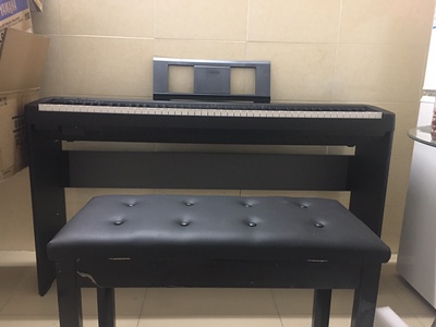 目前很多人用的珠江艾茉森电钢琴怎么样，适合初学者吗？