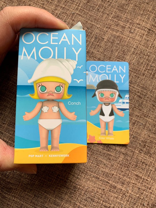 海洋Molly