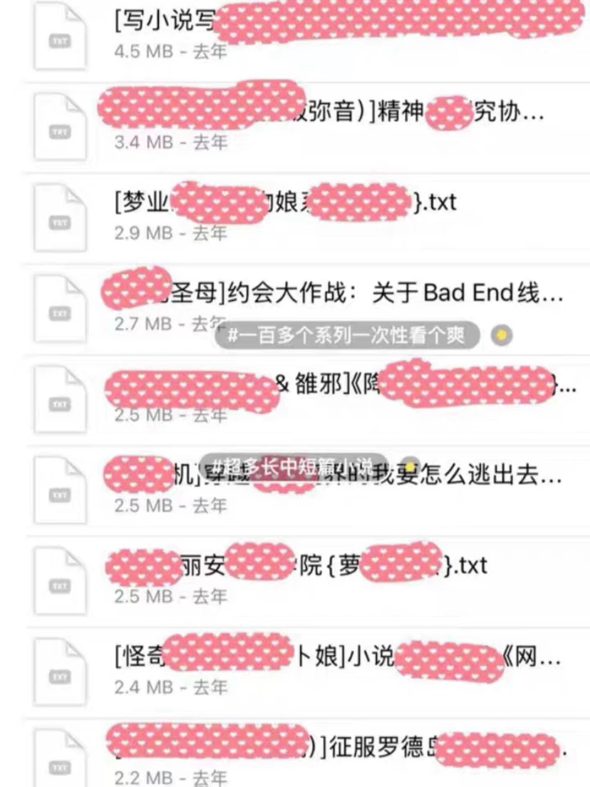 【秒发】[VS]可直拍【自动发货 全新整理文包合集】P站小说