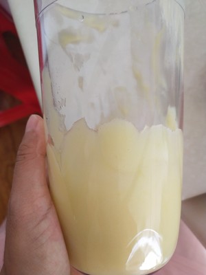双立人料理棒和博朗料理棒如何区别哪个好,质量如何