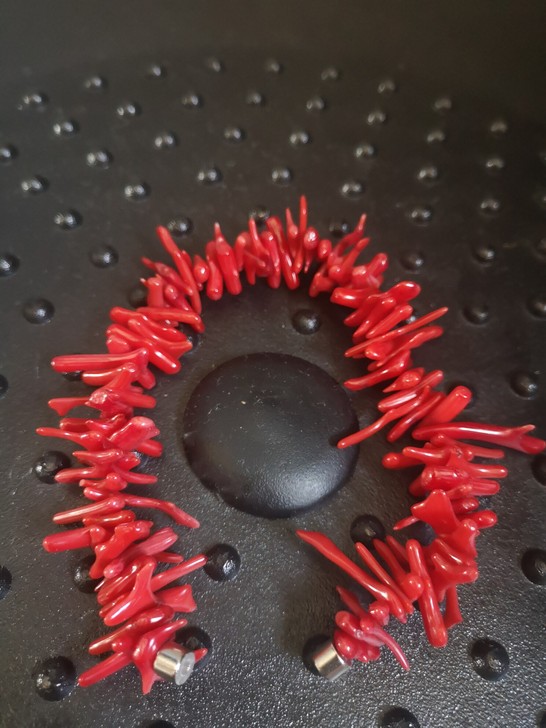 红色草珊瑚磁铁吸口手链