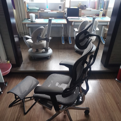 椅子傲风的好还是迪锐克斯，用户体验揭秘