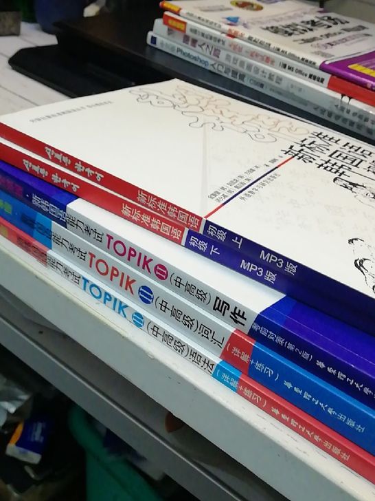 完全掌握新韩国语能力考试TOPIKⅡ写作考前对策(第2版)
