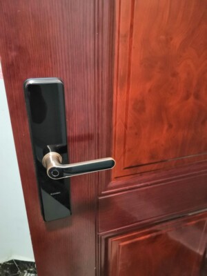 【2020评说】【新品】凯迪仕家用防盗门s100指纹锁怎么样?