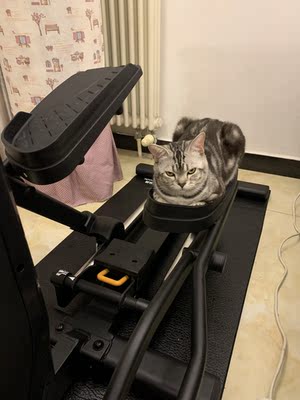 消费者【揭秘】舒华椭圆机怎么样?质量如何?别说没提醒你