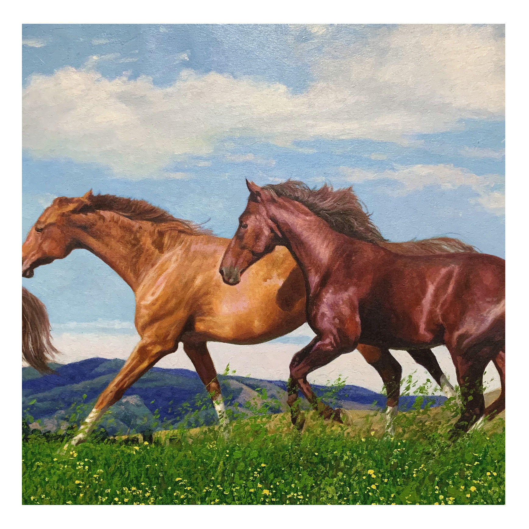 朝鲜画 视频 动物油画 1.6米 功勋画家 名画家 金春坤 骏马奔腾