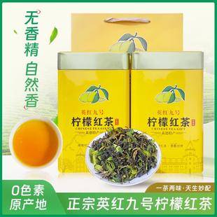 广东柠檬红茶英红九号罐装无香精自然高浓香型英德特产散装红茶叶