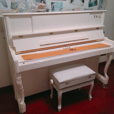 真实质量反馈Palatino帕拉天奴钢琴怎么样？评价好吗？