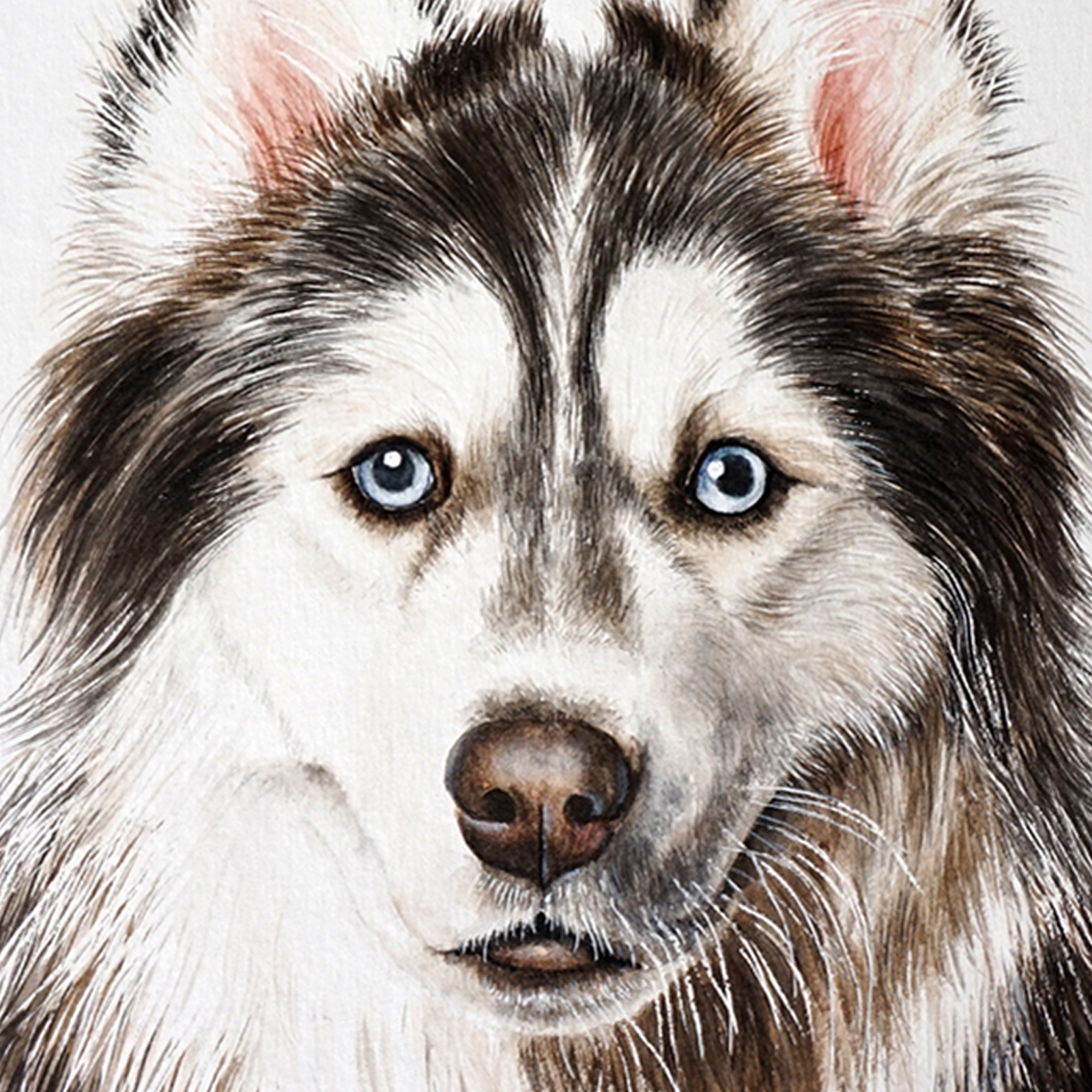 送装裱 青年女画家王玉伟水彩小品《哈士奇》装饰精品