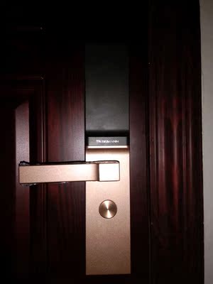 解说【销量第一】德施曼小嘀智能指纹锁怎么样，好不好用？