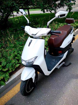 分析一下区别台铃猛狮和狮子哪个好使用一个月感受