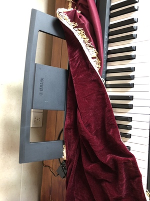 【体验评测比较】道尔顿电钢琴怎么样?这个是品牌吗?