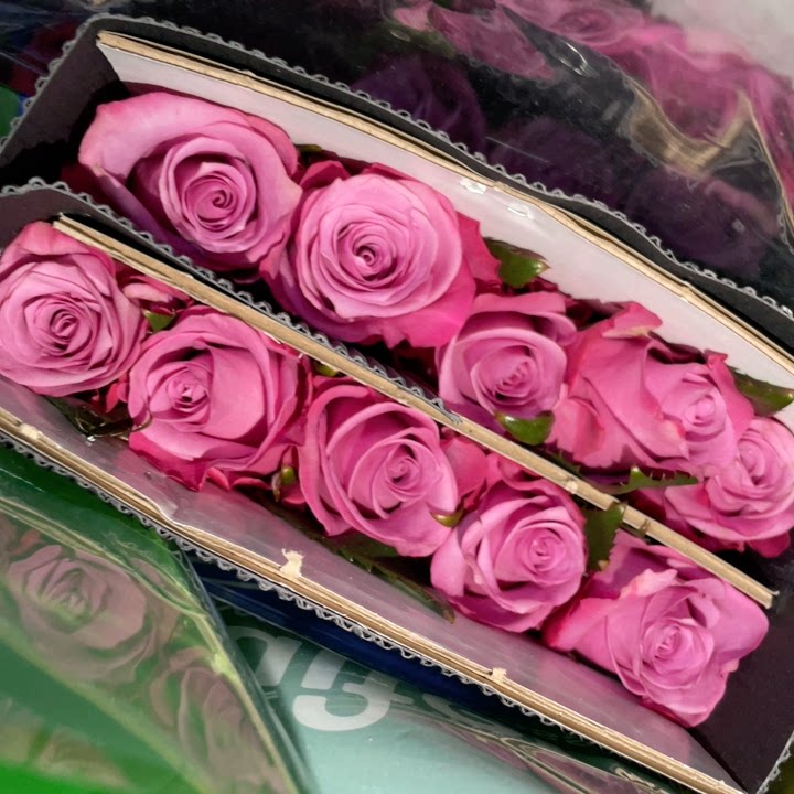 迪瑞特 嫣然玫瑰10支 不包邮