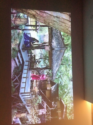 点评说说坚果J9怎么样？大家说一说好用吗？为什么都退货了