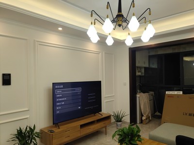 为什么没有索尼电视专卖店了，有人知道原因吗？