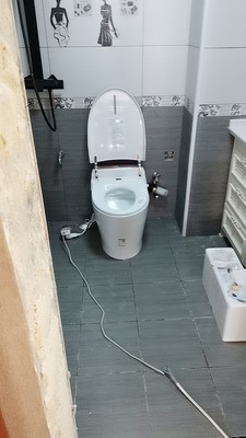 讨论说一说：德国BOZO抽水马桶怎么样，到底好不好用呢？