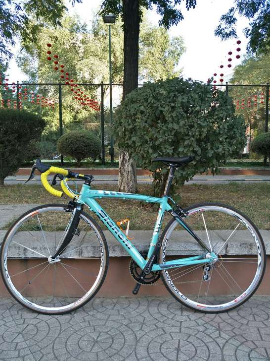 沈阳比安奇bianchic2c10速公路车!