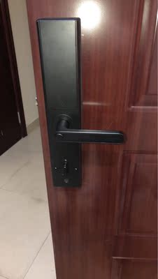 真实使用感受【深度解析】派瑞H300S指纹锁怎么样，有人用后评测过吗？