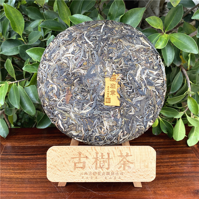 【茶客精选】单饼2020年新班章单株古树生茶头春纯料六百年树龄