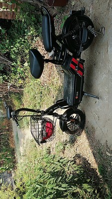 【对比】正步电动自行车好还是喜德盛好?优缺点有哪些？